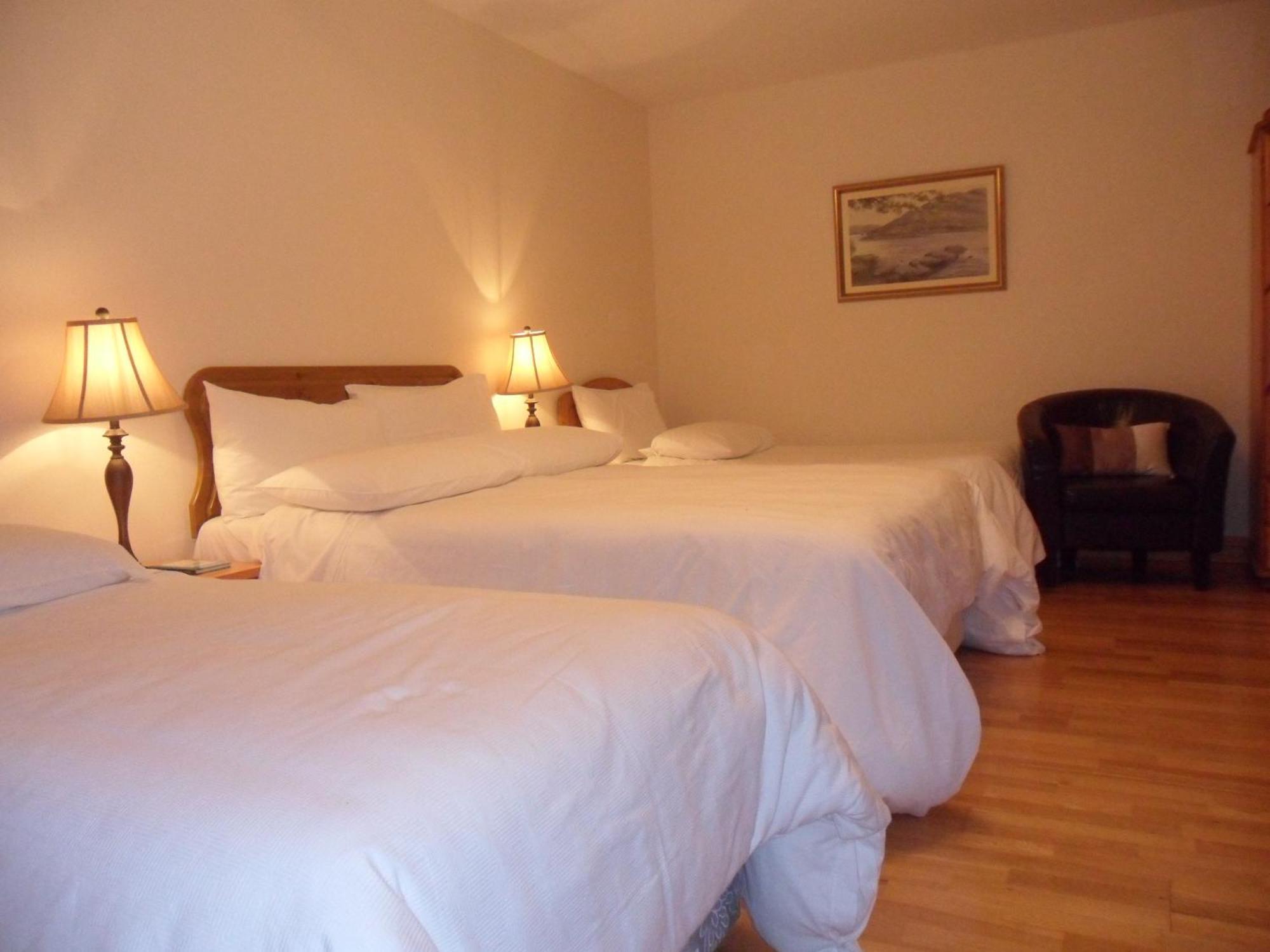 Forest Park House B&B Boyle Εξωτερικό φωτογραφία
