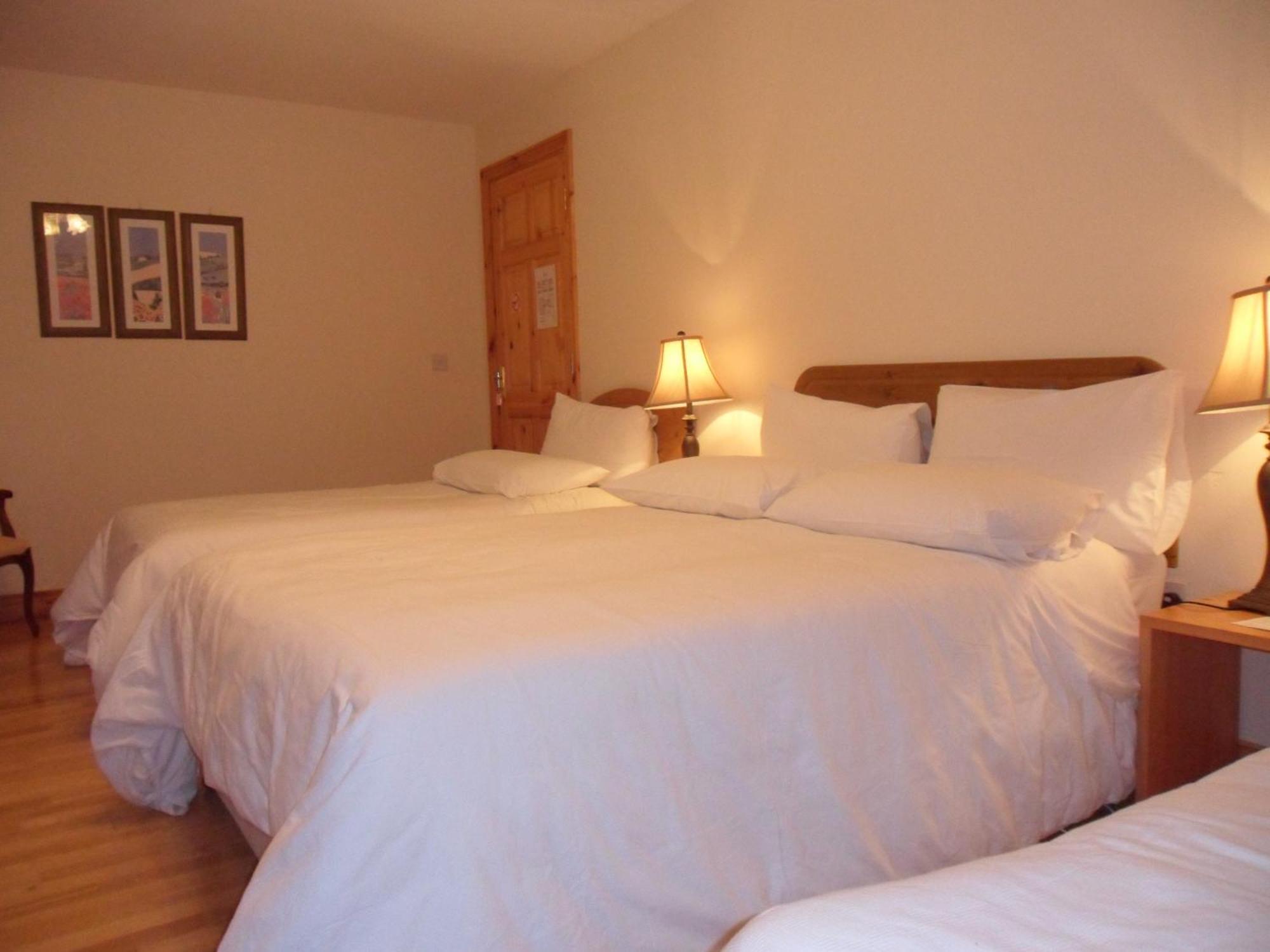 Forest Park House B&B Boyle Εξωτερικό φωτογραφία