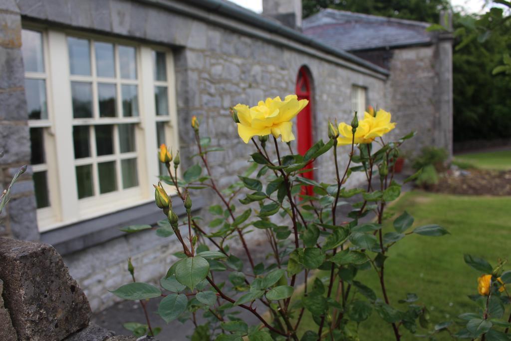 Forest Park House B&B Boyle Εξωτερικό φωτογραφία